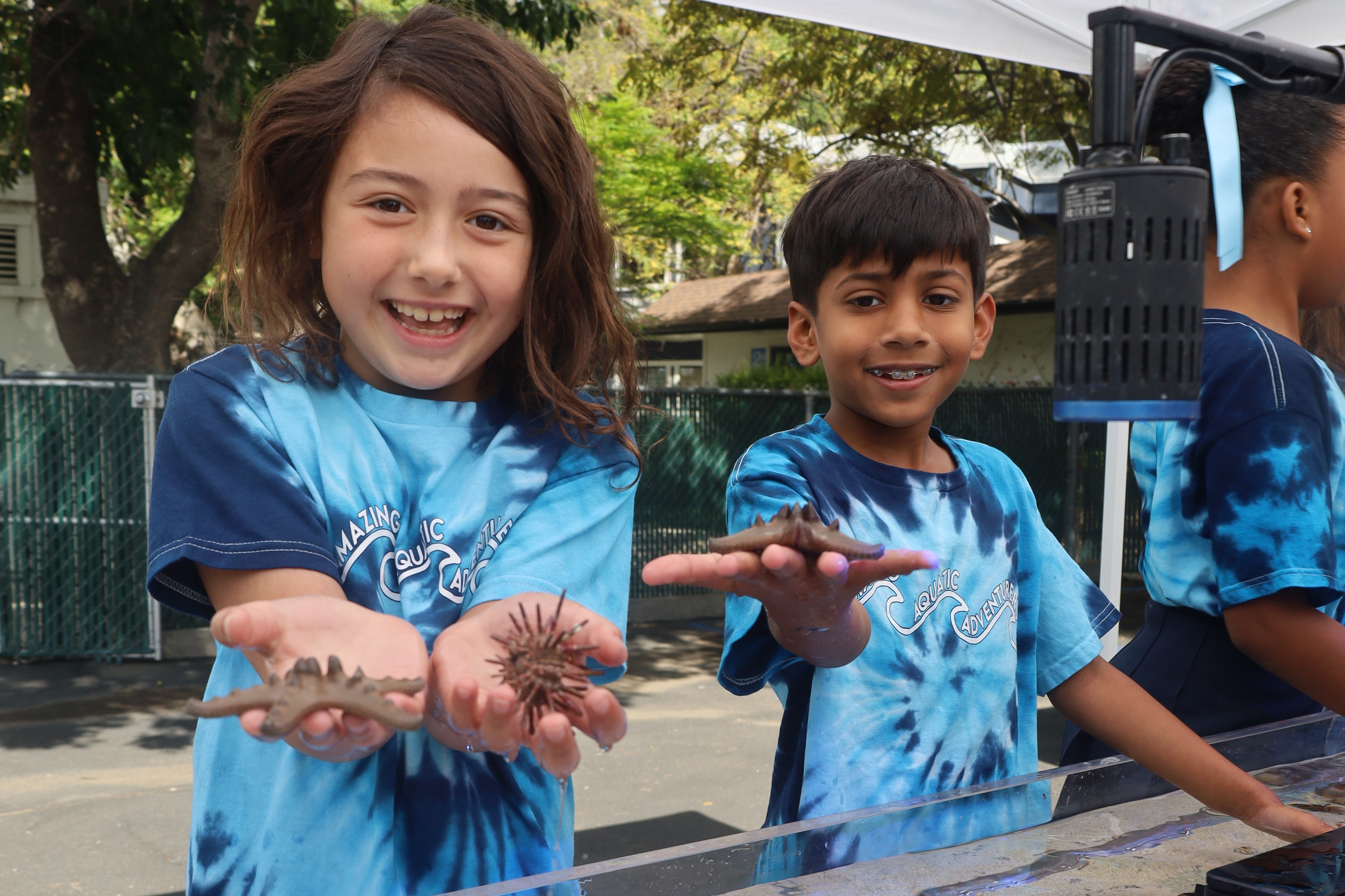 Splash into Ocean Day Learning with 2nd Grade