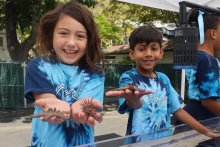 Splash into Ocean Day Learning with 2nd Grade