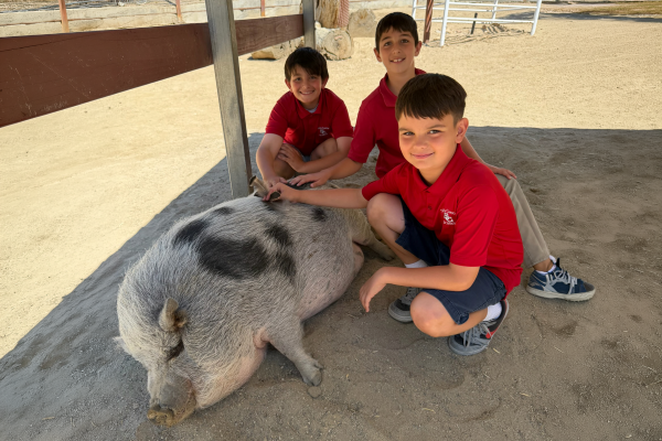 5th Grade Wellness Week Culminates at The Gentle Barn 5th Grade Wellness Week Culminates at The Gentle Barn